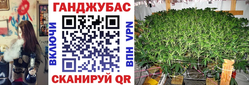 Наркошоп купить APVP Каннабис МЕФ Гашиш Злынка