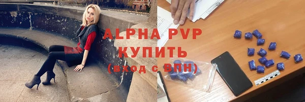 твердый Инта