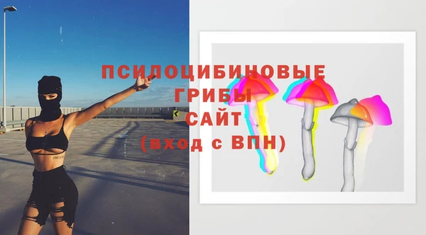 твердый Инта