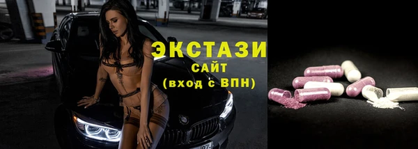 твердый Инта