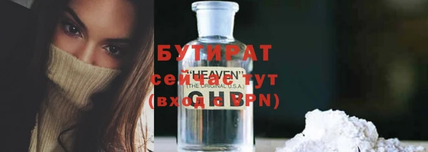 твердый Инта