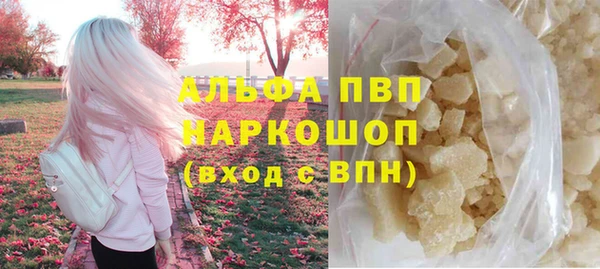 твердый Инта