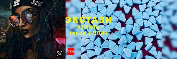 твердый Инта