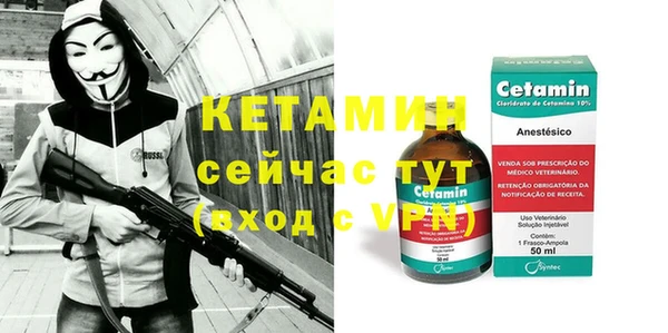 твердый Инта
